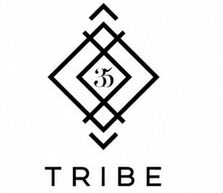 imgi_22_TRIBE35